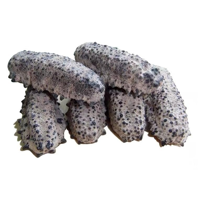 WonderLand Herbs First-Hand Source of Well-Chosen Dried sea Cucumbers from Mexico and South America 500g. (80-100 pcs)