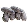 WonderLand Herbs First-Hand Source of Well-Chosen Dried sea Cucumbers from Mexico and South America 500g. (80-100 pcs) view 1