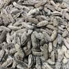 WonderLand Herbs First-Hand Source of Well-Chosen Dried sea Cucumbers from Mexico and South America 500g. (80-100 pcs) view 2