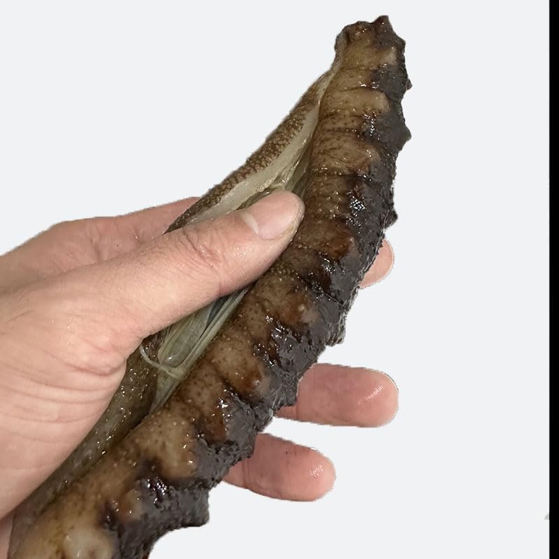 WonderLand Herbs Light Dried Caribbean Black Rice sea Cucumber 500g (Brokened sea Cucumber)