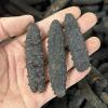 WonderLand Herbs Light Dried Caribbean Black Rice sea Cucumber 500g (Brokened sea Cucumber) view 4