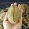 WonderLand Herbs Wild Ypsilothuria bitentaculata Wild Dried Sea Cucumber 500g. (About 20 pcs) view 2