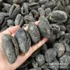 WonderLand Herbs Wild Ypsilothuria bitentaculata Wild Dried Sea Cucumber 500g. (About 20 pcs) view 3
