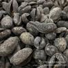 WonderLand Herbs Wild Ypsilothuria bitentaculata Wild Dried Sea Cucumber 500g. (About 20 pcs) view 4