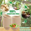 Tiaiidi 200 Pack Compostable Natural Paper Bowls,8 oz Disposable Paper Bowls,Eco-Friendly Sugarcane Bowls,Heavy Duty Small Bagasse Bowls for Salad,Snack,Soup,Party Serving Treats view 3
