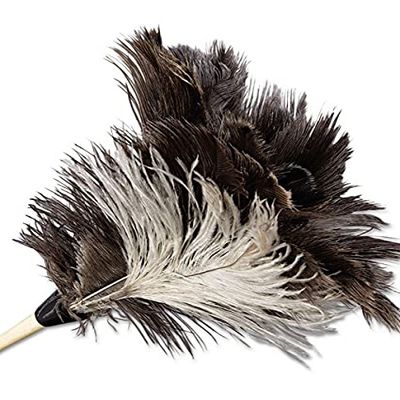 212 Main Professional Ostrich Feather Duster with 7 Inch Wood Handle - Natural