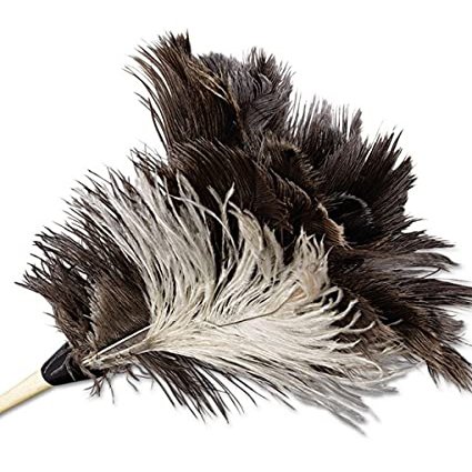 212 Main Professional Ostrich Feather Duster with 7 Inch Wood Handle - Natural