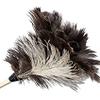 212 Main Professional Ostrich Feather Duster with 7 Inch Wood Handle - Natural view 1