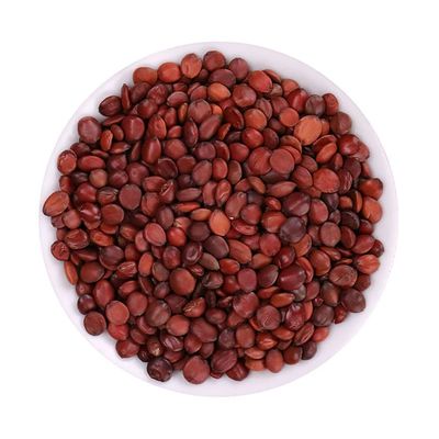 Zizyphus Jujuba,Semen Ziziphi Spinosae,Spine Date Seed,Semen Zizyphi Spinosae,Zizylphus Jujuba Mill. VAR. Spinosus Hu,Spine Date Seed,Wild Jujube Kernel,suanzaoren (500 g(1.10 Pound))