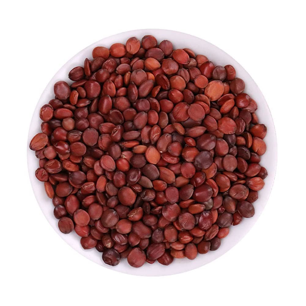 Zizyphus Jujuba,Semen Ziziphi Spinosae,Spine Date Seed,Semen Zizyphi Spinosae,Zizylphus Jujuba Mill. VAR. Spinosus Hu,Spine Date Seed,Wild Jujube Kernel,suanzaoren (500 g(1.10 Pound))
