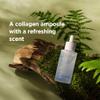 BORNTREE Like Sky Ice Collagen 93 Ampoule 1.69 fl oz/Marine collagen, Absorption rate of more than 40 times, K-beauty view 3