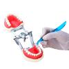 Dental Posterior Teeth Aesthetic Printing Kit, Temporary Tooth Repair Kit for Missing Broken Teeth Rubber Dental Filling Restoration Tool. view 4