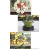 Crystal Tree Bonsai Feng Shui Money Tree Natural Jade Bonsai Living Room Decorations Home Decoration Gifts Good Products Wedding Gifts Flowers Blooming Wealthy Fake Flowers Crystal Quartz Lucky Tree C view 3