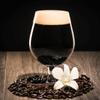 TAPCRAFT - Brew Your Own Chocolate Vanilla Stout Beer Recipe Kit - 5 Gallon Extract Recipe - With Real Vanilla Beans view 1