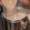 TAPCRAFT - Brew Your Own Chocolate Vanilla Stout Beer Recipe Kit - 5 Gallon Extract Recipe - With Real Vanilla Beans view 4