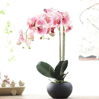 EdricShop 3D Feel Phalaenopsis Orchid Bonsai Artificial Latex Highend Fake Flower Orchidea Wedding Garden Home Decoration Orchideen - (Color: Pink)