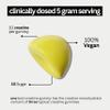 BOD Creatine Gummies, Creatine Monohydrate Gummies, Lemon Drop, for Muscle Support, and Energy Support, Pre Workout Supplement, 5g Creatine for Women and Men per Serving, 30 Servings, 150 Gummies view 4