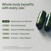 Seed DS-01 Daily Synbiotic - Prebiotic and Probiotic for Women & Men - Digestive Health, Gut Health, Immune Support, Bloating & Constipation Relief - Vegan & Shelf-Stable - 60 Capsules (30-Day Supply) view 3