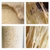 European Sourdough Starter from Germany 1786 view 1