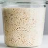 European Sourdough Starter from Germany 1786 view 2