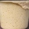 European Sourdough Starter from Germany 1786 view 3