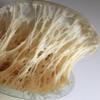 European Sourdough Starter from Germany 1786 view 4