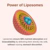 Vitaminally Liposomal Men's 50+ Liquid Multivitamin Drops | Non-GMO | Sugar Free | Gluten Free | 30 Day Supply | 3 FL Oz | Supports Brain Health, Immunity and Energy Production view 3