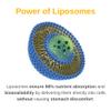 Vitaminally Liposomal Men's Liquid Multivitamin Drops | Non-GMO | Sugar Free | Gluten Free | 30 Day Supply | Supports Immune System, Muscle Health, Cellular Energy Production view 3