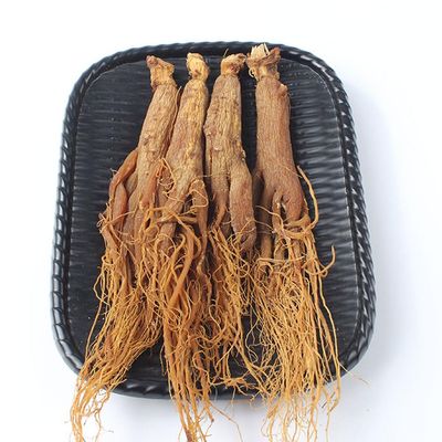 500 Grams Korean Red Ginseng Root Korean Red Panax Ginseng Red Korean Ginseng Natural Organic Changbai Mountain Wild Ginseng Whole Ginseng.
