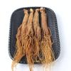 500 Grams Korean Red Ginseng Root Korean Red Panax Ginseng Red Korean Ginseng Natural Organic Changbai Mountain Wild Ginseng Whole Ginseng. view 1