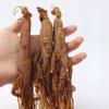 500 Grams Korean Red Ginseng Root Korean Red Panax Ginseng Red Korean Ginseng Natural Organic Changbai Mountain Wild Ginseng Whole Ginseng. view 3