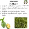 AYURVEDASHREE Bilva Powder - Bael Leaves Powder - Aegle marmelos -100 Gm - Supports Proper Function of The Bowels view 3