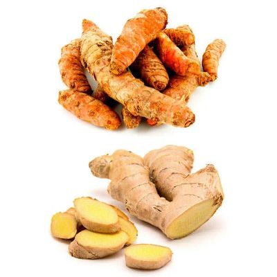 1LB Fresh Wild Ginger and Turmeric Tuber