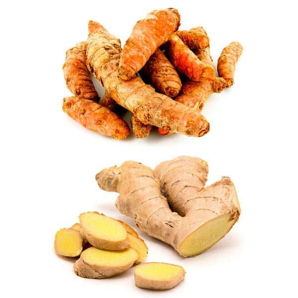 1LB Fresh Wild Ginger and Turmeric Tuber