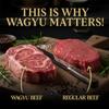 Five Star Wagyu Variety Beef Jerky, Soft & Mouth Melting & Tender, Award-Winning Premium Beef Jerky, No Artificial Ingredients, Premium Gift Snack, Nitrate/Nitrite-Free, Gluten-Free, Wagyu Snacks (4 Pack of 2oz-Total 8oz) view 4