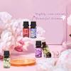ARVIDSSON Floral Essential Oils Set, Natural Flower Essential Oil Gift for Women - Rose, Gardenia, Cherry Blossom, Honeysuckle, Lilac, Blue Lotus, Scented Oil for Diffuser, Valentines Day Gift for Her view 2