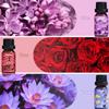 ARVIDSSON Floral Essential Oils Set, Natural Flower Essential Oil Gift for Women - Rose, Gardenia, Cherry Blossom, Honeysuckle, Lilac, Blue Lotus, Scented Oil for Diffuser, Valentines Day Gift for Her view 4