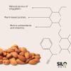 SILO Nuts Organic Bitter Apricot Kernels - 16 oz USDA Certified Organic Bitter Apricot Seeds - Natural & Non-GMO, Premium Quality Kernals, No Sulfur or Additives view 3