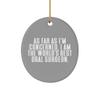 Oral Surgeon Gifts for Men Women, As Far as I'm Concerned, I, Unique Oral Surgeon Oval Ornament, Christmas Ornament from Friends, Dental Surgery, Toothbrush, Toothpaste, Floss, Mouthwash view 1