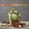 Milk Chocolate Covered Pistachios by It's Delish, 48 OZ Jumbo Container | Milk Chocolate Coated Dipped Candy Nuts Bulk Pistachio Chocolates Sweet & Crunchy Nut Snack | Kosher Dairy view 4
