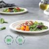 100% Compostable Paper Plates 10 Inch Bulk [500 Count] Heavy-Duty Dinner Plates - Natural White Color Unbleached Bagasse - Eco-Friendly Disposable Biodegradable Sugarcane Plates - [Case 4/125 Pack] view 4