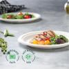 100% Compostable Paper Plates 9 Inch [500 Count] Heavy-Duty Dinner Plates - White Bagasse - Eco-Friendly Disposable Biodegradable Sugarcane Plates - [Bulk Case 4 x 125 Pack] - (BPI Certified) view 4