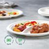 100% Compostable Paper Plates 10 Inch Bulk [500 Count] Heavy-Duty Dinner Plates with Compartments - Natural White Color Bagasse - Eco-Friendly Disposable Biodegradable Sugarcane - [Case 4/125 Pack] view 4