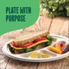 100% Compostable Paper Plates 9 Inch Bulk [500 Count] Heavy-Duty Dinner Plates with Compartments - Natural Brown Color Bagasse - Eco-Friendly Disposable Biodegradable Sugarcane - [Case 4/125 Pack] view 2