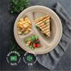 100% Compostable Paper Plates 9 Inch Bulk [500 Count] Heavy-Duty Dinner Plates with Compartments - Natural Brown Color Bagasse - Eco-Friendly Disposable Biodegradable Sugarcane - [Case 4/125 Pack] view 4