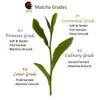 300g [The High-End Ceremonial Grade Yame Gyokuro Rare Matcha Green Tea Powder] with Yame Traditional Authentic Gyokuro Japanese souvenir Gift - Mukoh Matcha view 3