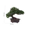 OFFSCH Pine Tree Potted Life-Like Artificial Fake Decor No Maintenance for Room view 4