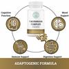 2nd Springs Organic Mushroom Complex - 7 Mushroom Supplement - Immune Support Nootropic & Adaptogenic Supplement with Lion's Mane, Chaga, Maitake, Shiitake, Reishi, Turkey Tails, Cordyceps Capsules view 2
