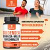 1000mg Goldenseal Root Capsule Extract 10:1 with Echinacea, Mullein Leaf, Marshmallow - Support Immune System, Digestive Health, Overall Well-Being & Body Management - 90 Veggie Capsules view 3