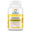30mg Spermidine Supplement for Men & Women, High Absorption, More Potent Than Spermidine 3HCL - for Cellular Renewal, Longevity & Cognitive, Fermented Wheat Germ Extract, Pure & Natural, 60 Softgels view 1